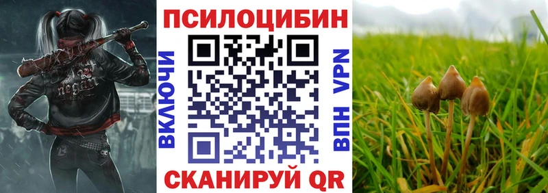 где продают наркотики Коммунар kraken сайт Псилоцибиновые грибы Magic Shrooms